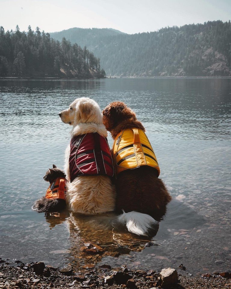    .: https://fotostrana.ru/away?to=/sl/qcG ()#@ican - 5