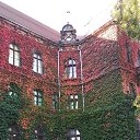  Vitalij, , 67  -  2  2019    