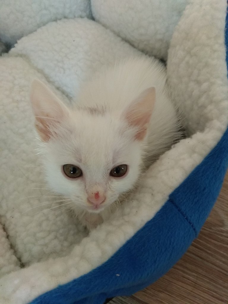 #_.              . ...