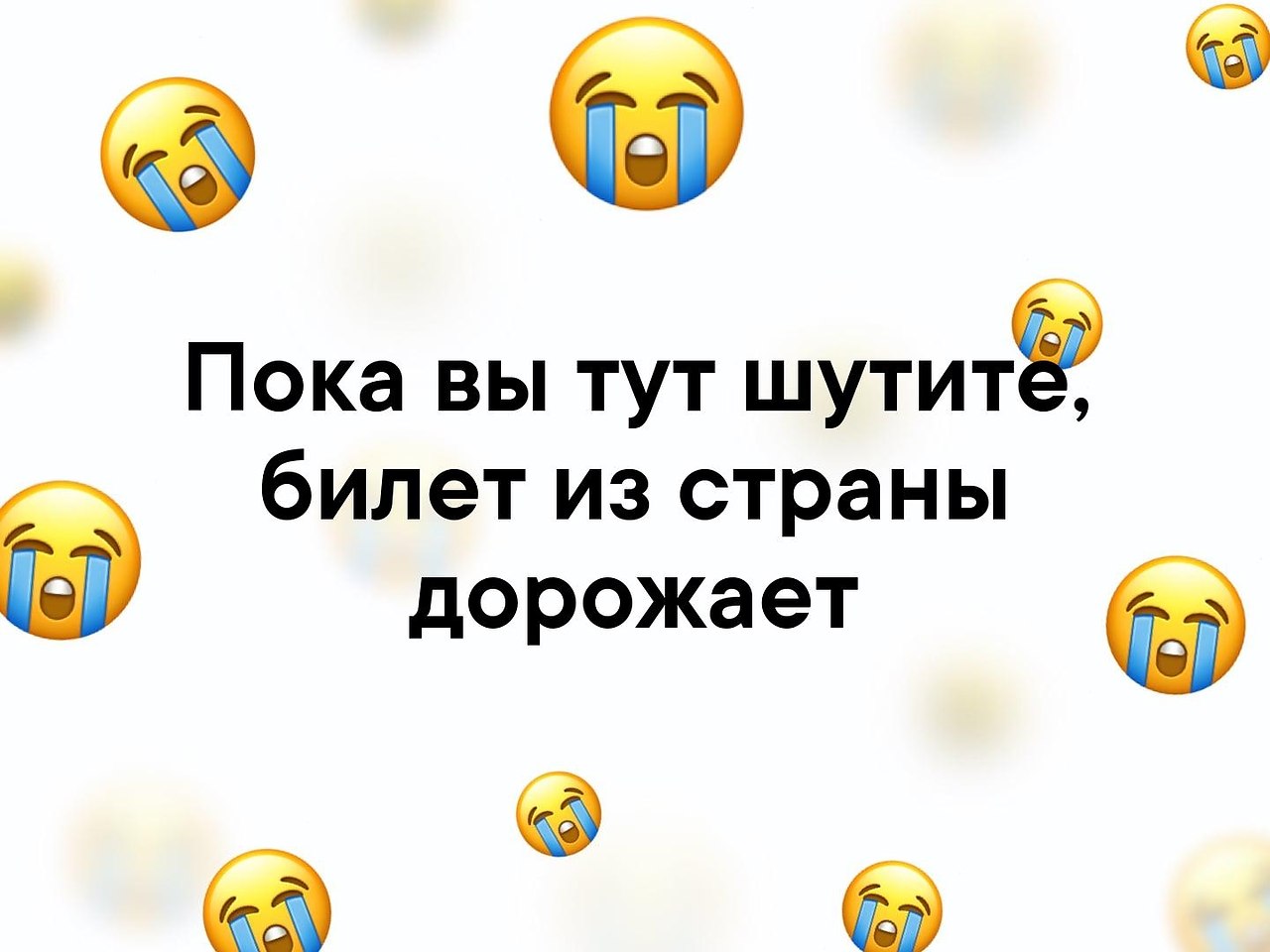   -   - 16  2019  16:36