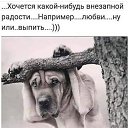 ���� ������, ������ - ��������� 2 ����� 2019 � ������ ���� ����������