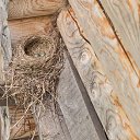 ���� �������, ����� - ��������� 28 ������ 2018 � ������ ���� ����������