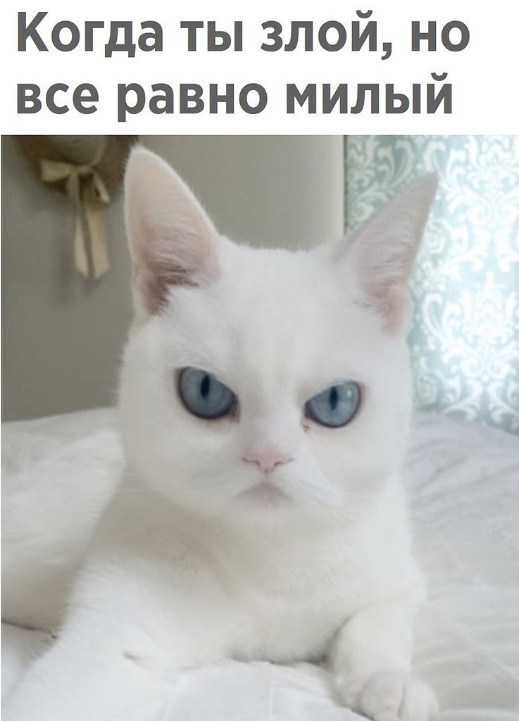  - 14  2018  16:39