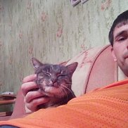 �����, 40 ���, ���������� �����