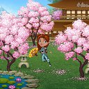   13 ., -, 24  -  27  2019   Tropikania