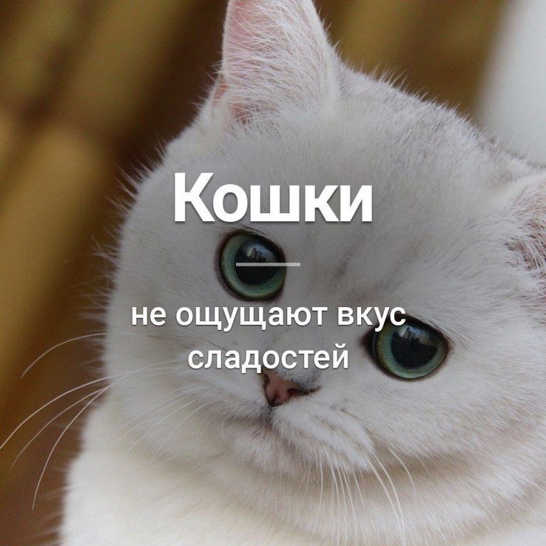   :    - 24  2018  16:39