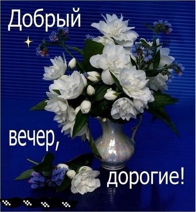   ,    . - 15  2019  18:35