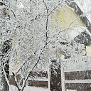 ���� ������, �������, 53 ���� - ��������� 14 ������� 2019 � ������ ������ ��������