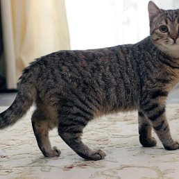 ����, �����, 23 ����