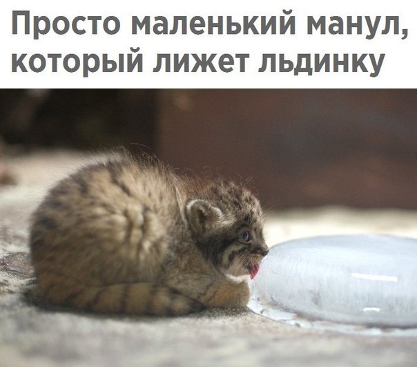    - 14  2019  16:53