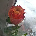 ���� ����, �������, 57 ��� - ��������� 9 ����� 2019 � ������ ������ ��������