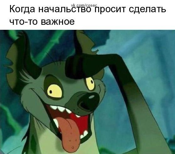   - 9  2019  16:35