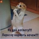 ���� ������, ������, 53 ���� - ��������� 4 �������� 2018 � ������ ���� ����������