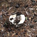  , , 61  -  22  2018    2018