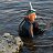 ���� �������, ������, 52 ���� - ��������� 20 �������� 2018