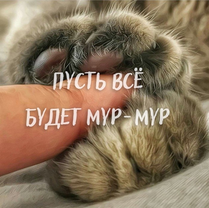  - 13  2019  16:57