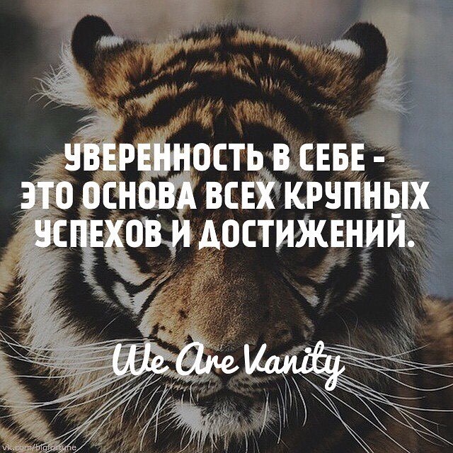 Самоуверенность самоуверенности цитата из 5. Уверенность в себе цитаты. Цитаты уверенных в себе. Цитаты уверен в себе. Афоризмы про уверенность в себе.