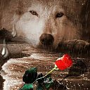  White Wolf,  -  11  2018   