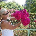 ���� �����, �����, 75 ��� - ��������� 14 ������ 2018 � ������ ���� ����������