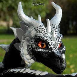 ��������� Dragonita, �����-���������, 38 ���