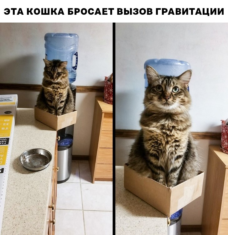 ~**~ - 16  2018  10:10