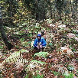 ���� ��������, �������, 39 ��� - ��������� 26 ������� 2018