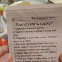 ���� ����, ���������� - ��������� 27 ������� 2018 � ������ ������ ��������