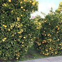 ���� �������, ������������ - ��������� 31 ������� 2018 � ������ ���������� ������