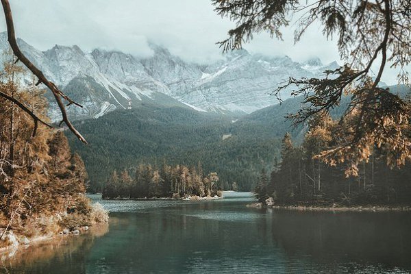 В лесу все кажется другим: вкус еды, воздух, мысли. Человек становится чище. - 2