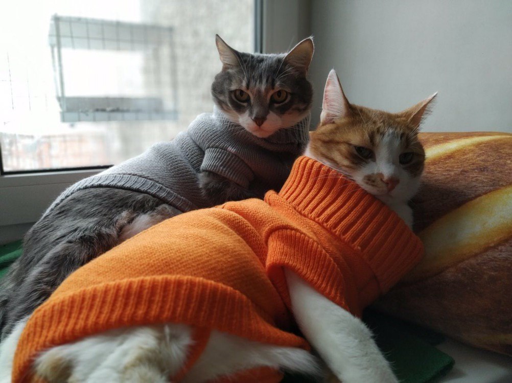   :3 - 5