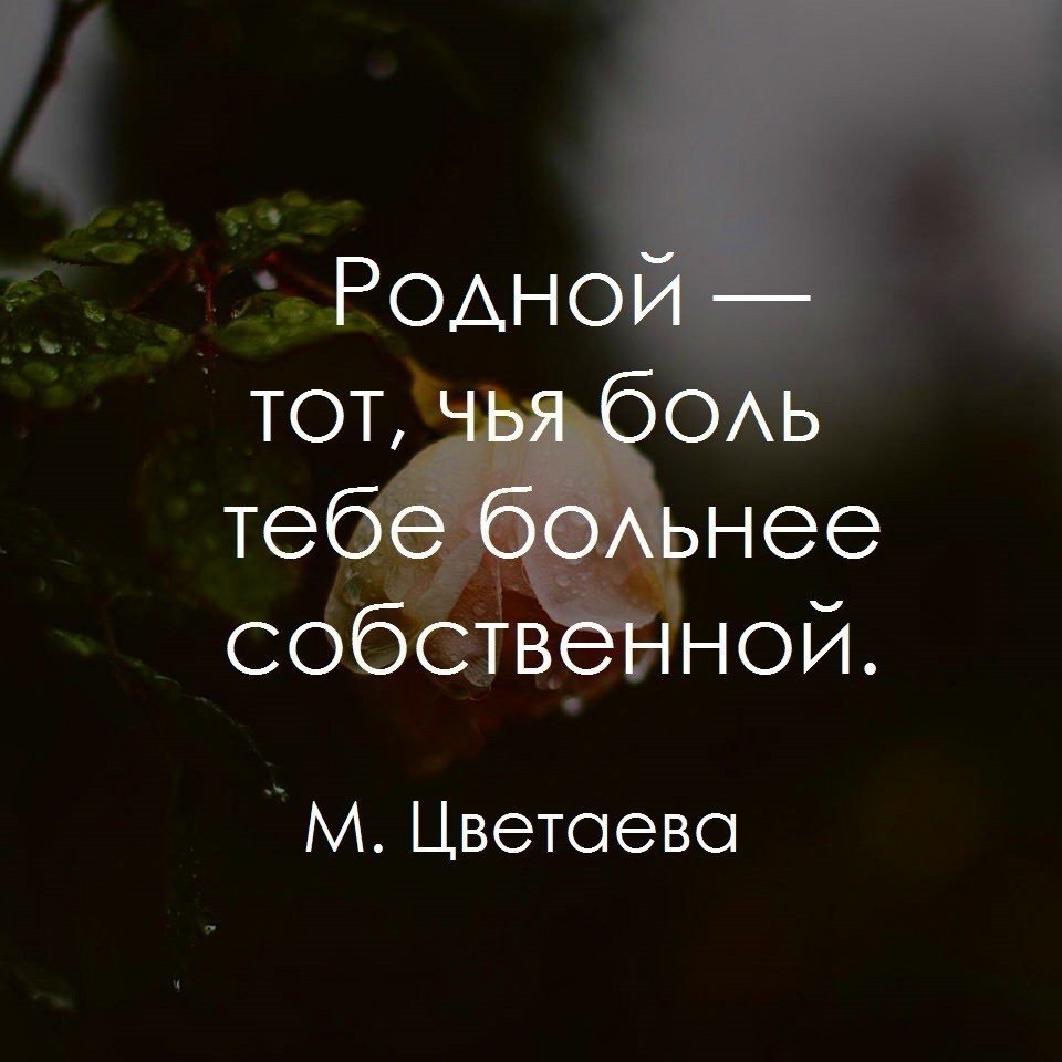 BEST | , ,  - 21  2018  16:42