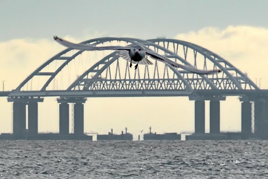 ������ �� ������ ����� �������� ���� ������ ��������� � ������� 2019 ����.��������������� ������ �� ... - 3