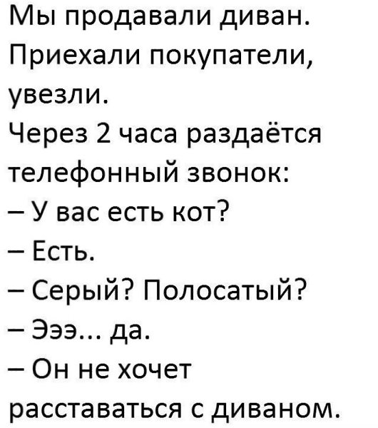 ~**~ - 6  2018  10:34