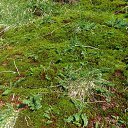  , , 46  -  20  2018     "" ( 2018)