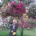 ���� �������, ������, 66 ��� - ��������� 31 ������� 2018 � ������ ���� ����������