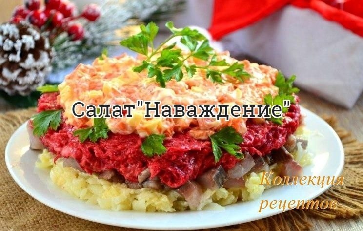 Коллекция