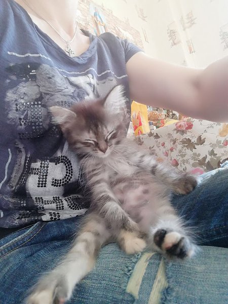 #Безкота_добро.У нас в семье появился малыш. Был большой праздник, Троица!! История её такова.Кто то ...