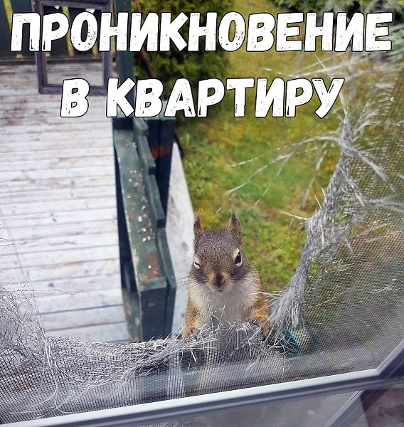   :D - 30  2018  17:06