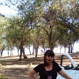 �����, ���������, 58 ���