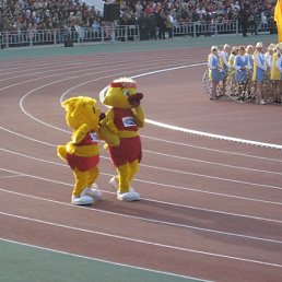 ������, �����, 48 ���