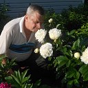 ���� �������, ������, 74 ���� - ��������� 16 ������ 2018