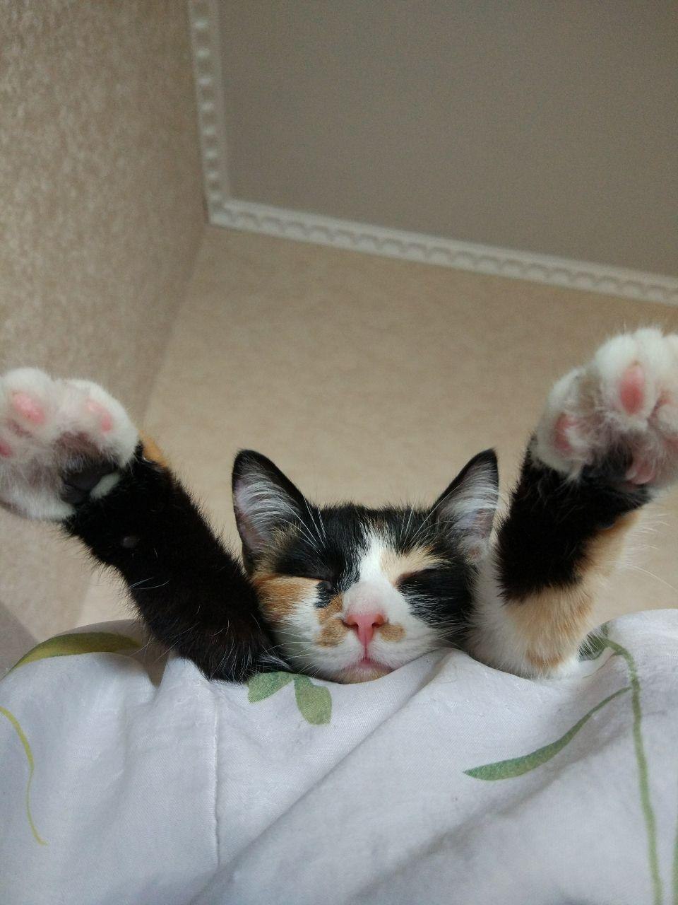 ������ - 6 �������� 2018 � 22:56