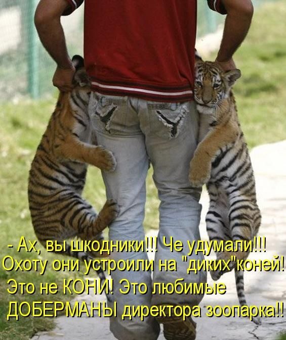 ***Victoria Viktorovna*** - 22  2019  09:04