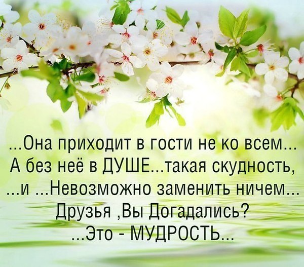 ����� - 4 ������� 2019 � 22:22