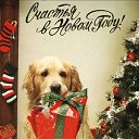  Svetlana, , 55  -  10  2018    