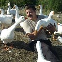 ���� �����, ������������, 60 ��� - ��������� 10 ������� 2018