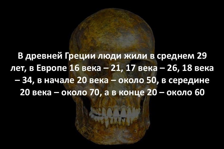   :    - 2  2019  16:42