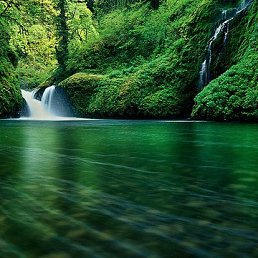 ���� ������, ������������, 44 ���� - ��������� 2 ������� 2019