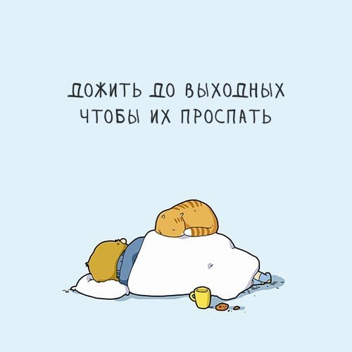   :