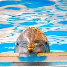 �������, �������